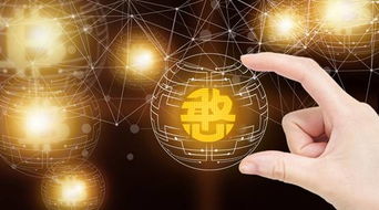 憨分?jǐn)?shù)據(jù)拓展應(yīng)用場(chǎng)景，共建區(qū)塊鏈生態(tài)，推動(dòng)互聯(lián)網(wǎng)數(shù)據(jù)服務(wù)發(fā)展